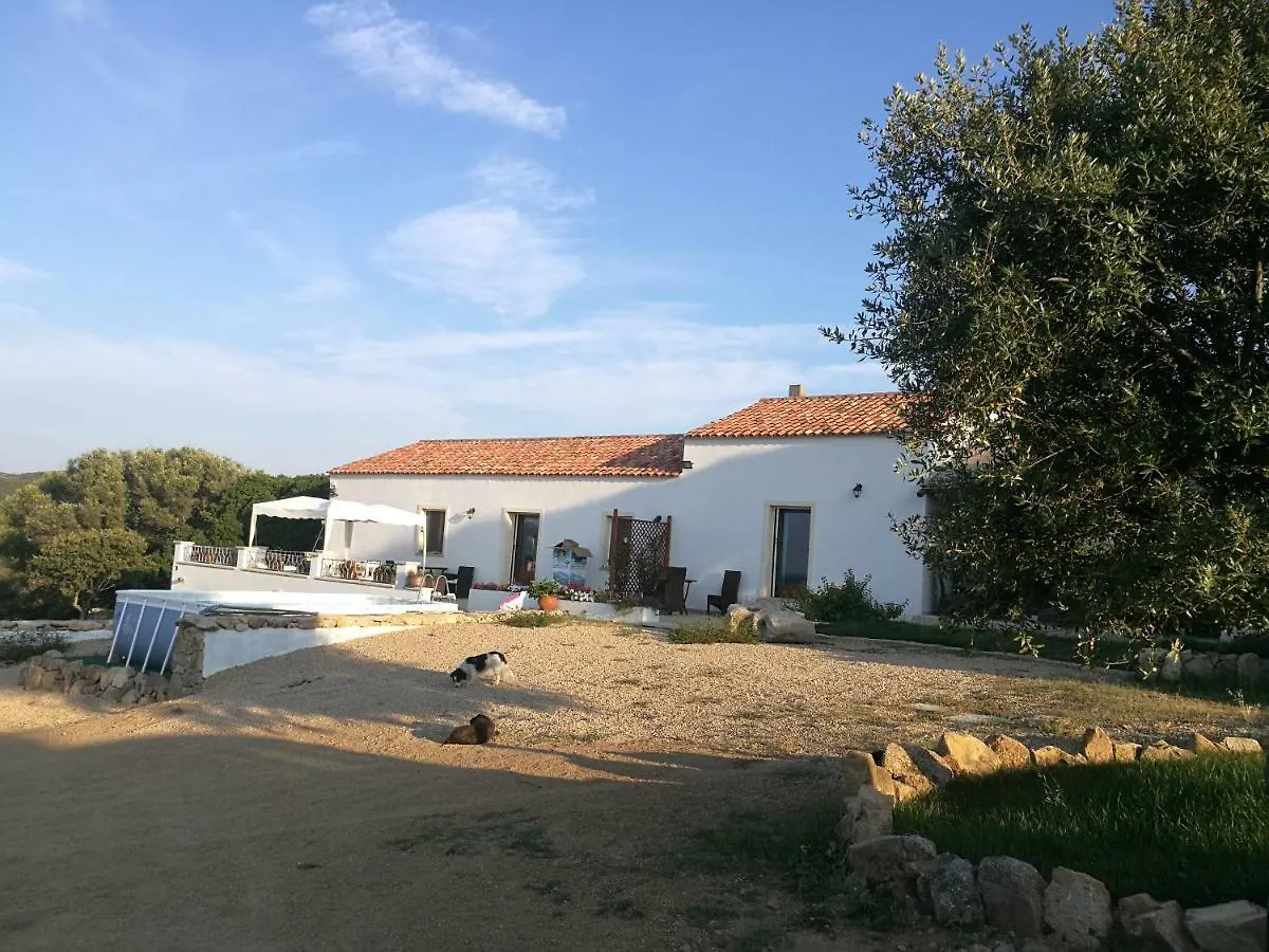 Appartamento L'Albero Magico Nella Campagna Gallurese Santa Teresa Gallura 0*,  Italie