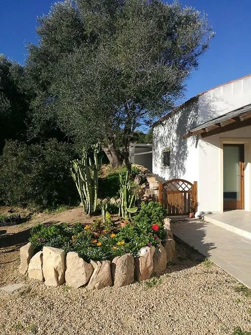 Appartamento L'Albero Magico Nella Campagna Gallurese Santa Teresa Gallura 0*,